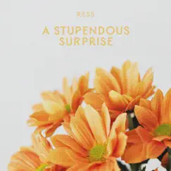 A Stupendous Surprise - Single by Ress album reviews, ratings, credits