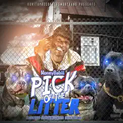 Pick of the Litter by Moneybabiii album reviews, ratings, credits