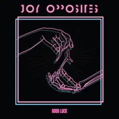 Good Luck / Dead Ends - Single by Joy Opposites album reviews, ratings, credits