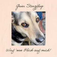 Wirf nen Blick auf mich - Single by Geier Sturzflug album reviews, ratings, credits