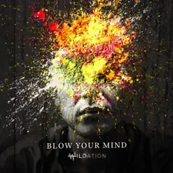 Blow Your Mind - Single by Wildation album reviews, ratings, credits