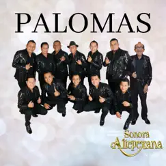 Paloma Querida (cover) Song Lyrics