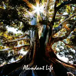 Abundant Life - Single by Amanda Vernon album reviews, ratings, credits