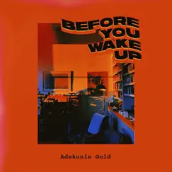 Before You Wake Up Song Lyrics