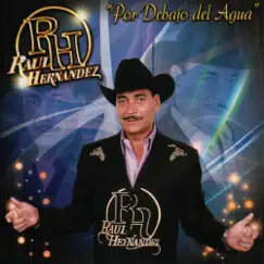 Por Debajo del Agua by Raúl Hernández album reviews, ratings, credits