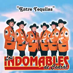 Entre Tequilas by Los Indomables De Cedral album reviews, ratings, credits