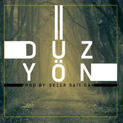 Düz Yön (Enstrümantal) - Single by Sezer Sait Can album reviews, ratings, credits