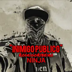 Inimigo Público - Single by Ninja album reviews, ratings, credits