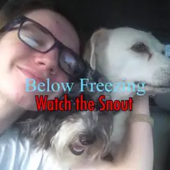 Watch the Snout by Below Freezing album reviews, ratings, credits