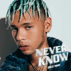 Never Know - Single by Dice Soho album reviews, ratings, credits