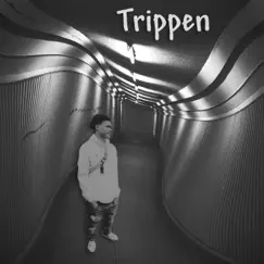 Trippen - Single by Errday Treday album reviews, ratings, credits