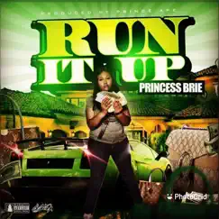 Run It Up - Single by Princess Brie album reviews, ratings, credits