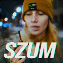 Szum (feat. PI) - Single by Wiksawiktoria album reviews, ratings, credits