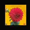 Sunflower (feat. Dallas Aleea) song lyrics