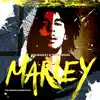 Marley (The Original Soundtrack) album lyrics, reviews, download