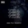 Vida (feat. Zaka) - Single album lyrics, reviews, download