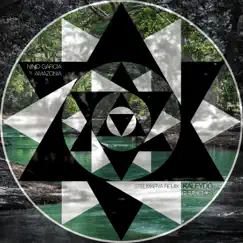 Amazonia (Stelmarya Remix) - Single by Nino Garcia album reviews, ratings, credits