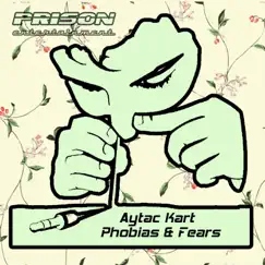 Phobias & Fears - Single by Aytac Kart album reviews, ratings, credits