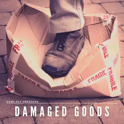 Damaged Goods by GeMi-FlY album reviews, ratings, credits