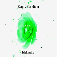 F.A.K.E (F*****g and Kicking Everyone) by Remix Euridium album reviews, ratings, credits