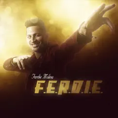 F.E.R.D.I.E. - Single by Ferdie Molina album reviews, ratings, credits