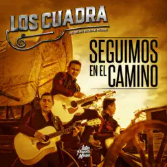 Seguimos En El Camino Song Lyrics