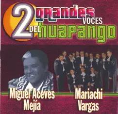 El Huapango de Moncayo Song Lyrics