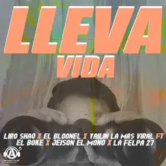 Lleva Vida (feat. El Boke, Jeison el Mono & La Felpa 27) Song Lyrics