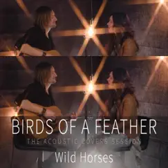 Wild Horses - Single by Birds of a Feather album reviews, ratings, credits