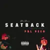Seatback (feat. PDL Peso) - Single album lyrics, reviews, download