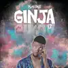 Ginja - EP album lyrics, reviews, download