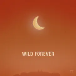 Wild Forever Song Lyrics