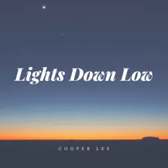 Lights Down Low Song Lyrics