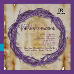 St. John Passion, BWV 245, Pt. 1: No. 13, Ach, mein Sinn, wo willt du endlich hin Song Lyrics