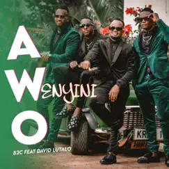 Awo Wenyini (feat. David Lutalo) - Single by B2c album reviews, ratings, credits