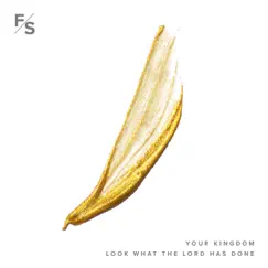 Your Kingdom & Look What the Lord Has Done - Single by Fellowship Songs album reviews, ratings, credits
