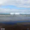 Grey Skies - Single album lyrics, reviews, download