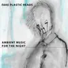 Ambient Music for the Night album lyrics, reviews, download