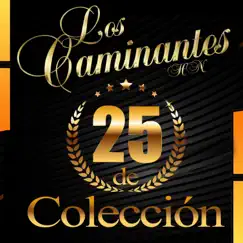 25 de Colección by Los Caminantes album reviews, ratings, credits