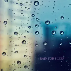 Steady Rain Song Lyrics