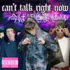 Can't Talk Right Now - Single album lyrics, reviews, download