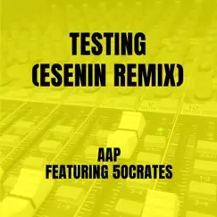 Testing (feat. 5ocrates) [ESENIN Remix] Song Lyrics