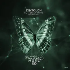 Butterfly Wing - Single by Syntouch album reviews, ratings, credits