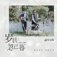 歲月忽已暮 (電影《歲月忽已暮》主題曲) Song Lyrics