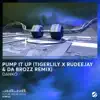 Pump It Up (Tigerlily, Rudeejay & da Brozz Remix) - Single album lyrics, reviews, download