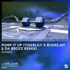 Pump It Up (Tigerlily, Rudeejay & da Brozz Remix) - Single by Danko & Tigerlily album reviews, ratings, credits
