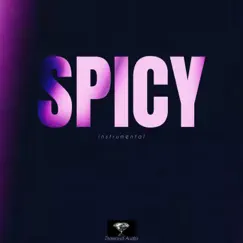 Spicy (Instrumental) Song Lyrics