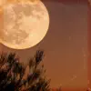 Goodnight Moon song lyrics