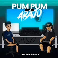 Pum Pum Pa' Abajo (Remix) - Single by Facu Vazquez, DJ Roman & SGO BROTHER'S album reviews, ratings, credits