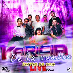 Éxitos de Oro Live - EP by La Karicia De La Cumbia album reviews, ratings, credits